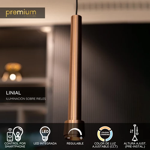 Lucide Premium LINIAL TUBIZ Lámpara colgante - Sistema de carril monofásico / Iluminación con rieles - Smart - 48V Track - 1xLED - Champan - USP